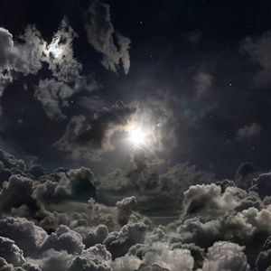 Meet your Posher, Chloe